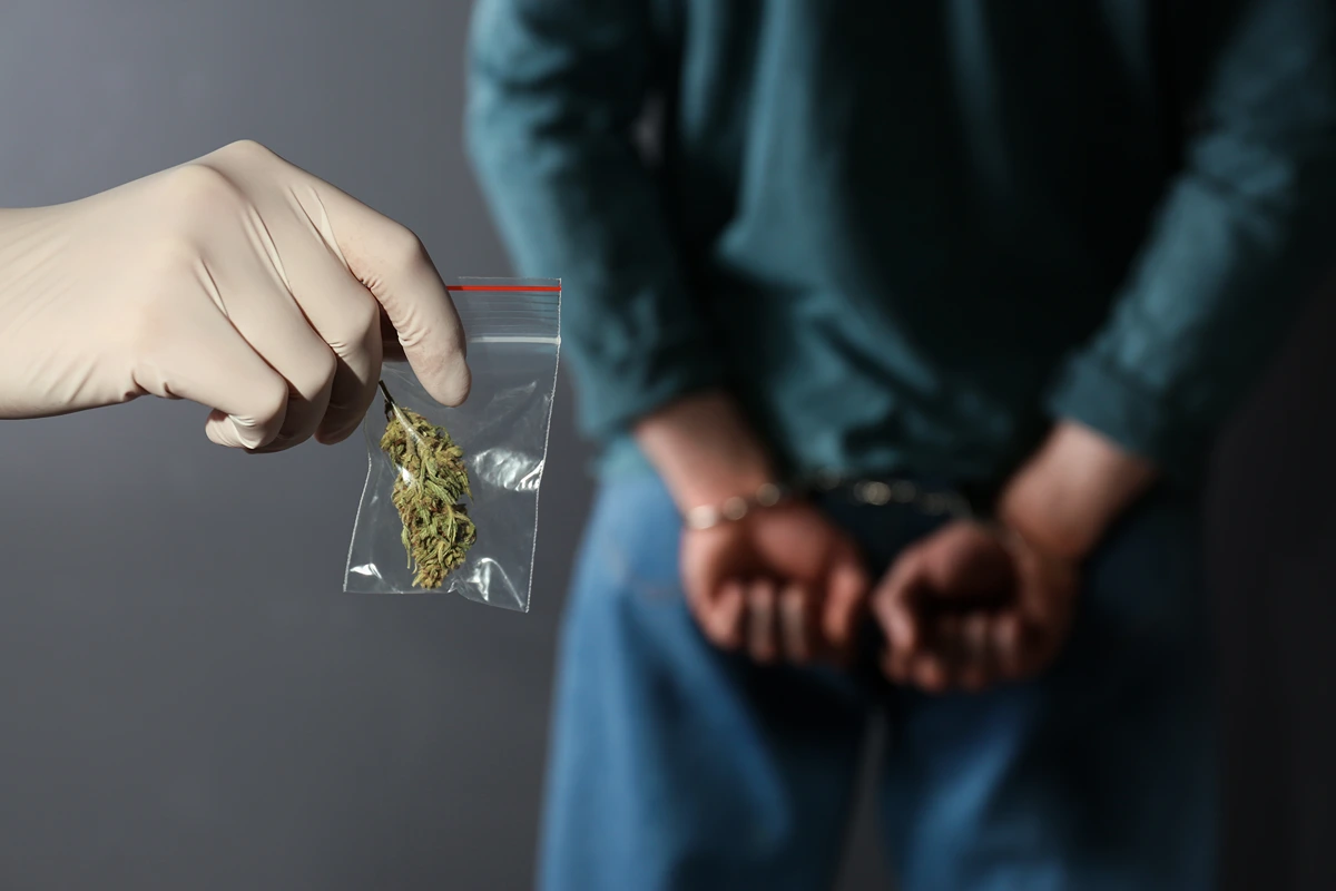 hand in glove holding bag of cannabis